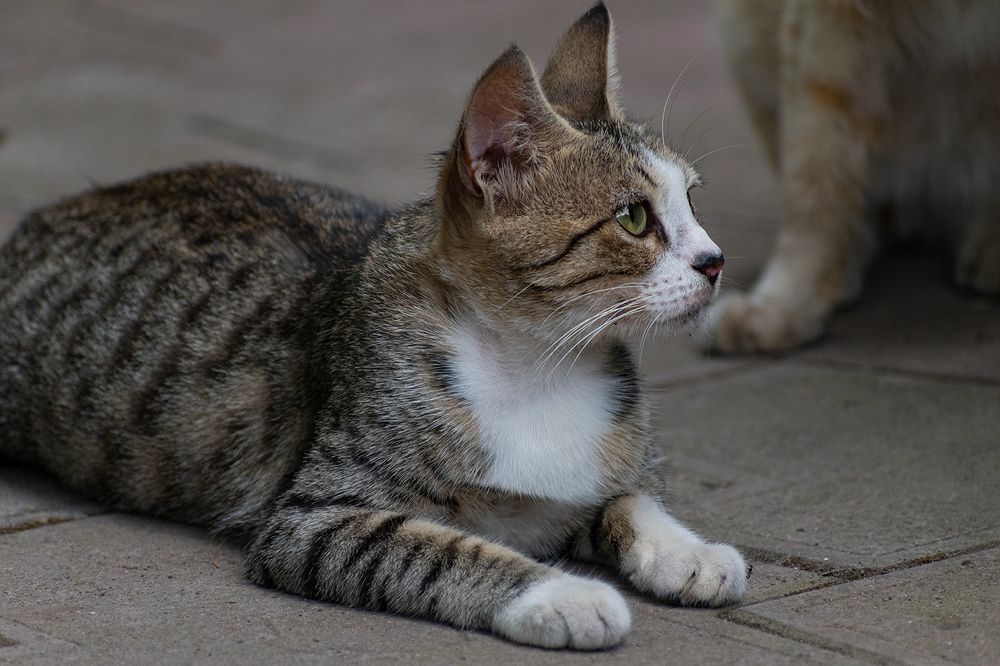 Photograph by Amin Eksiri