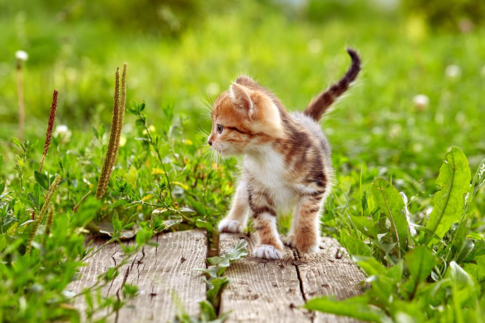 Photograph by  Павел