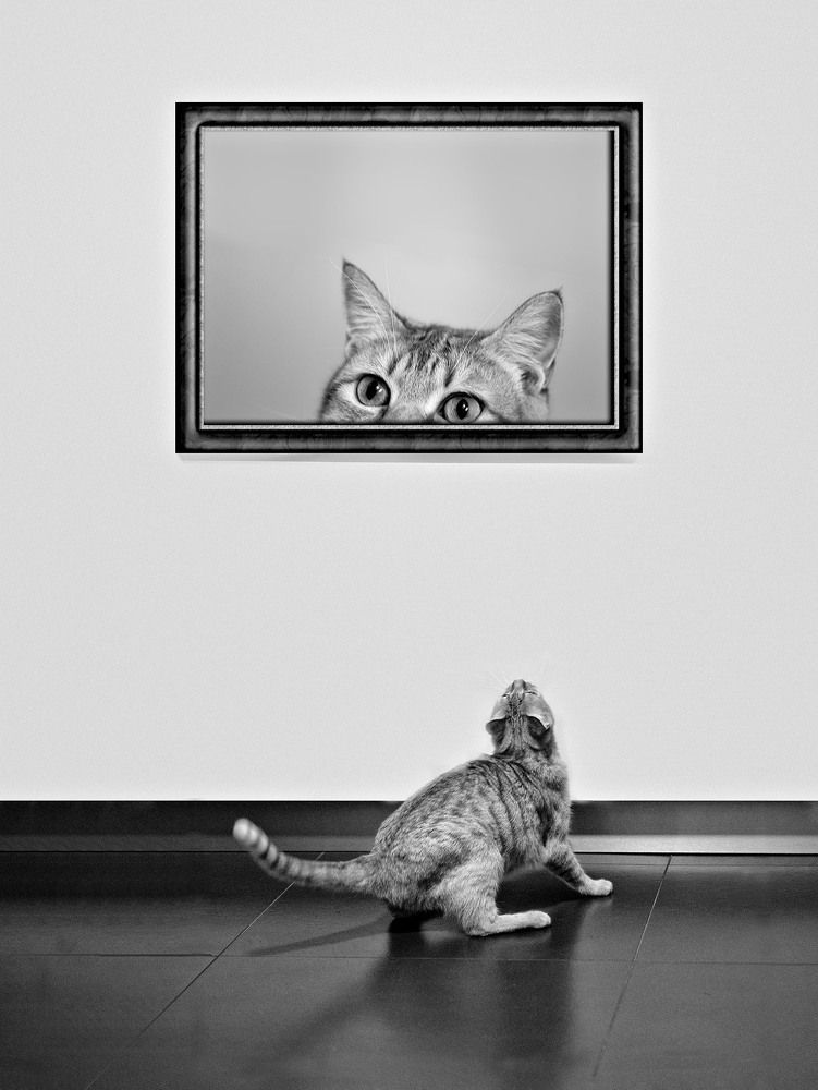 Photograph by Montserrat Alviani