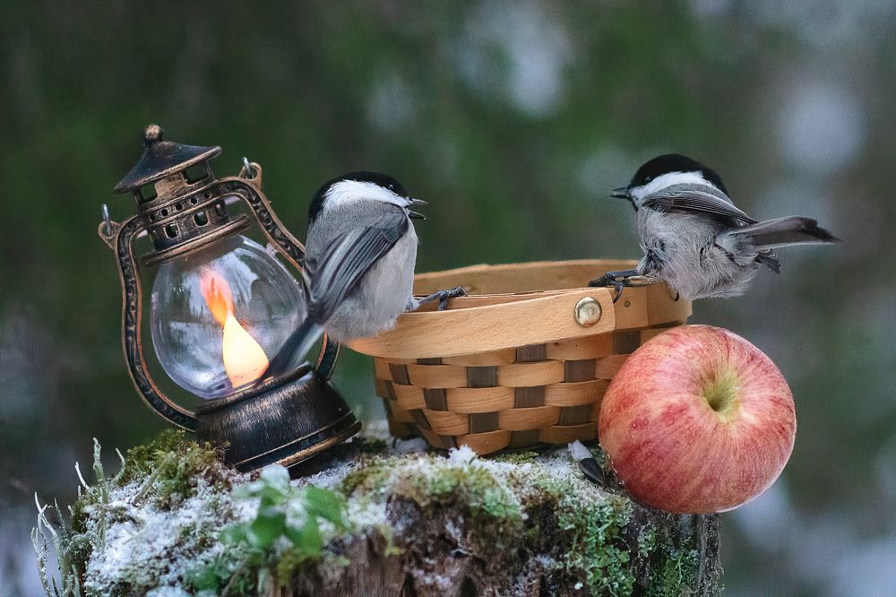 Photograph by Olga Akhmetova