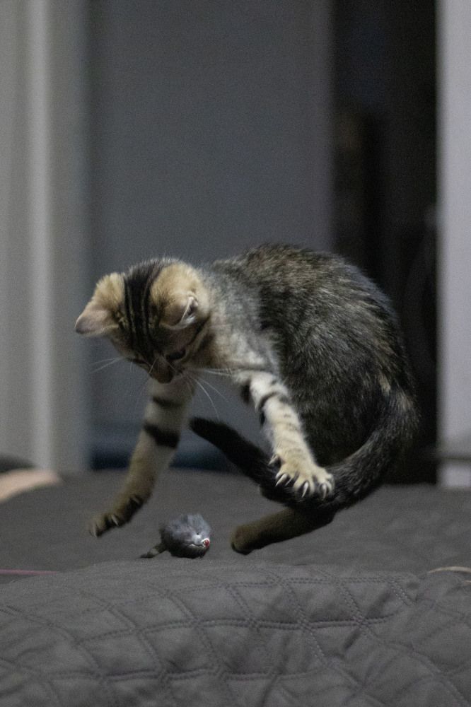 Photograph by Ксения Золотарь