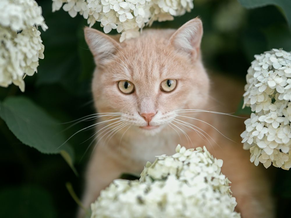 Photograph by Козлов Евгений