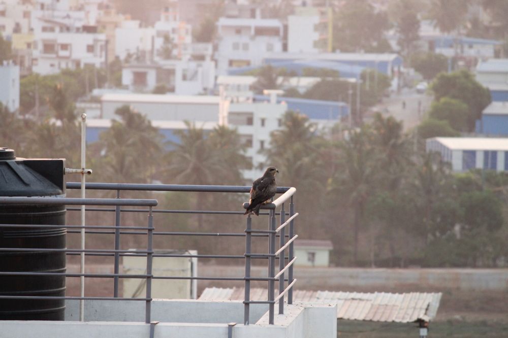 Photograph by Pradyumna K P