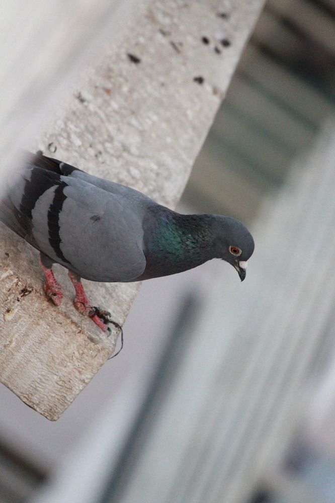 Photograph by Pradyumna K P