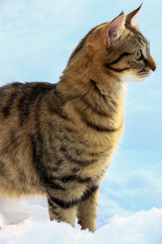 Фотография автора Александр Довганюк