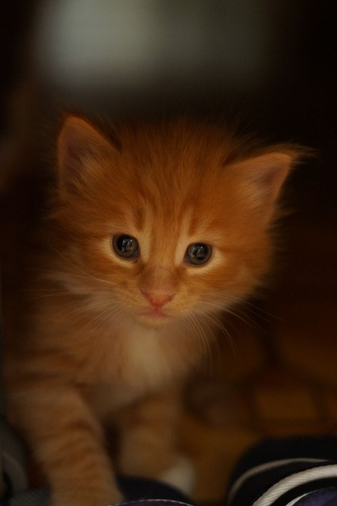 Photograph by Ольга Слугина