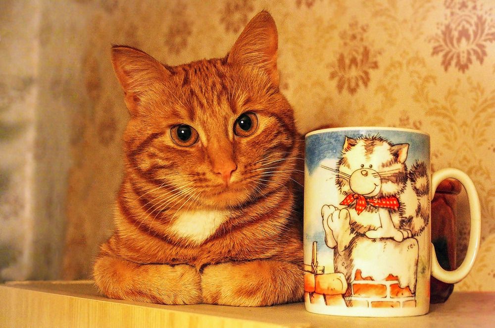 Photograph by Эдуард Шадров