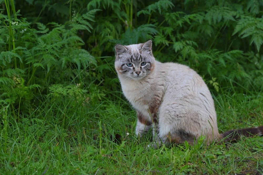 Photograph by ARTEM KORZHUKOV