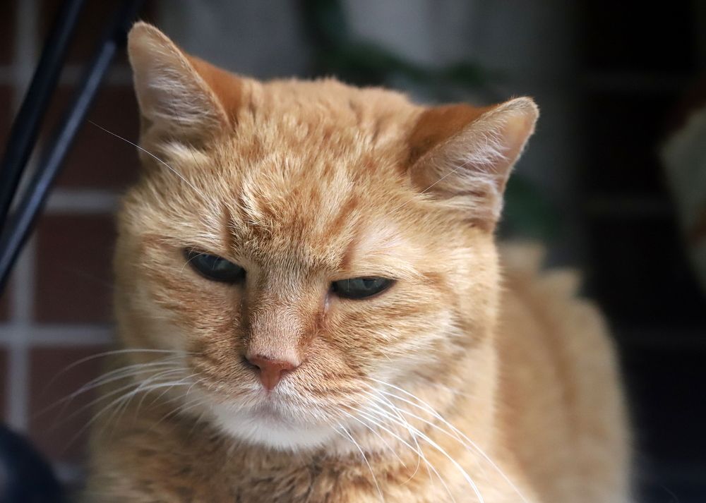 Photograph by елена