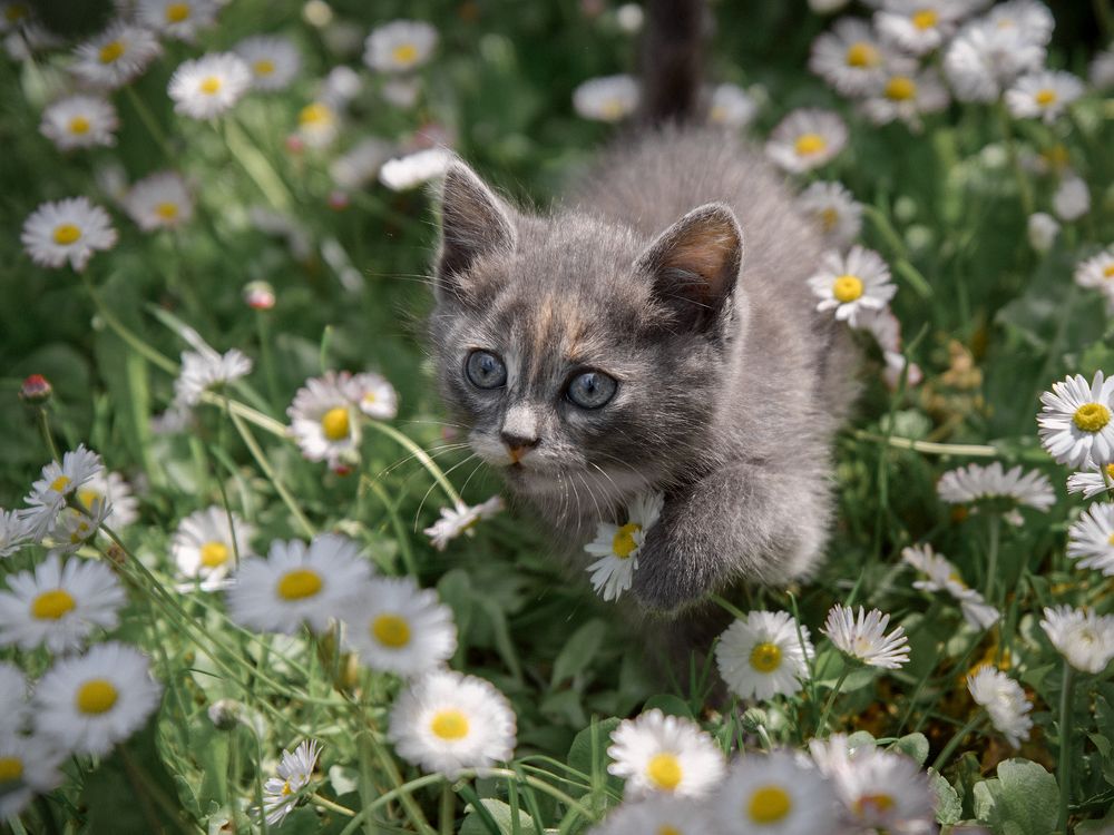 Photograph by Козлов Евгений