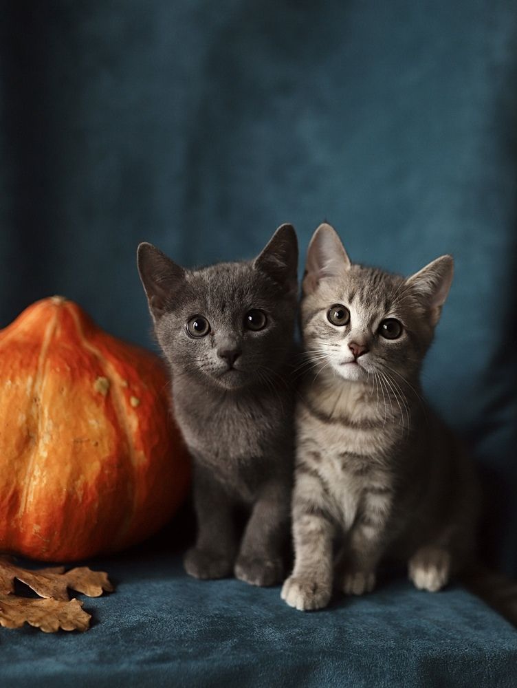 Photograph by Наталья Гусева