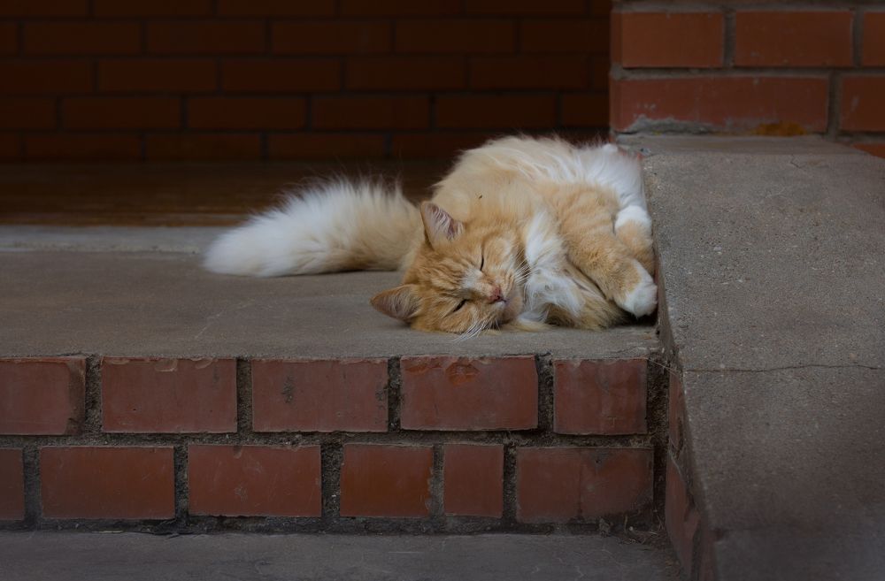 Photograph by Елена Иванова