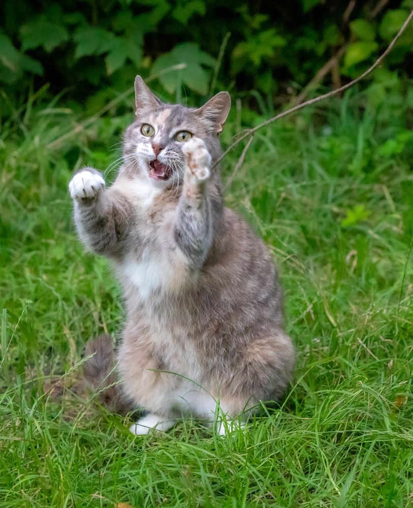 Photograph by Константин Чижов