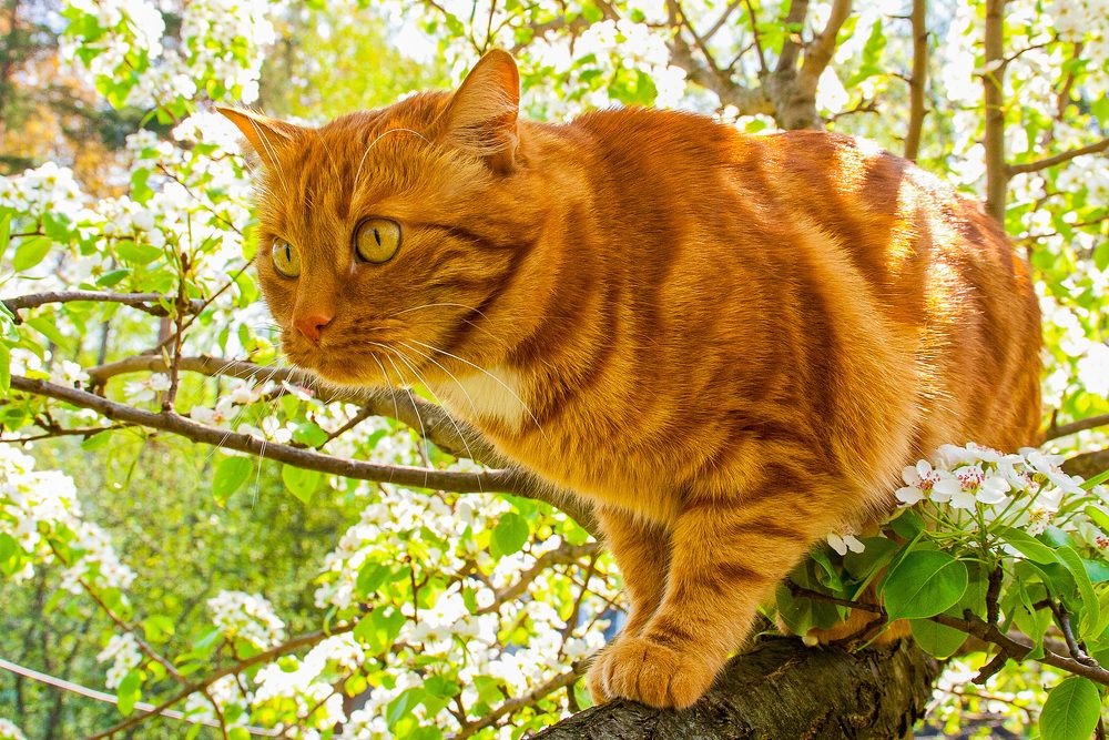 Photograph by Эдуард Шадров