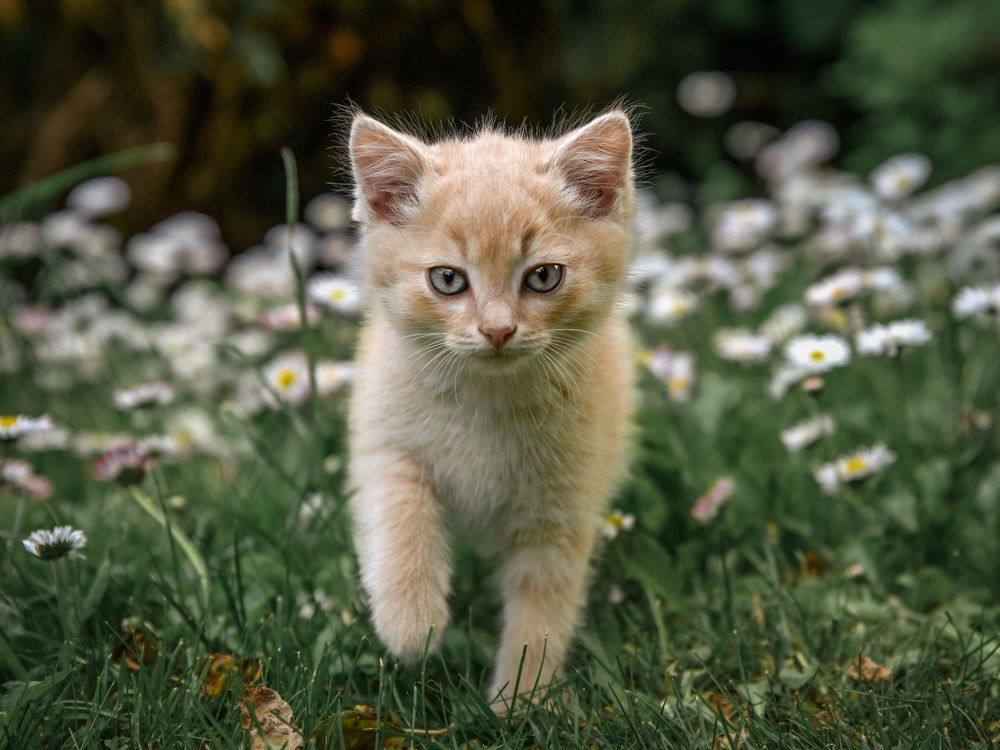 Photograph by Козлов Евгений