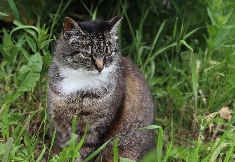 Photograph by елена