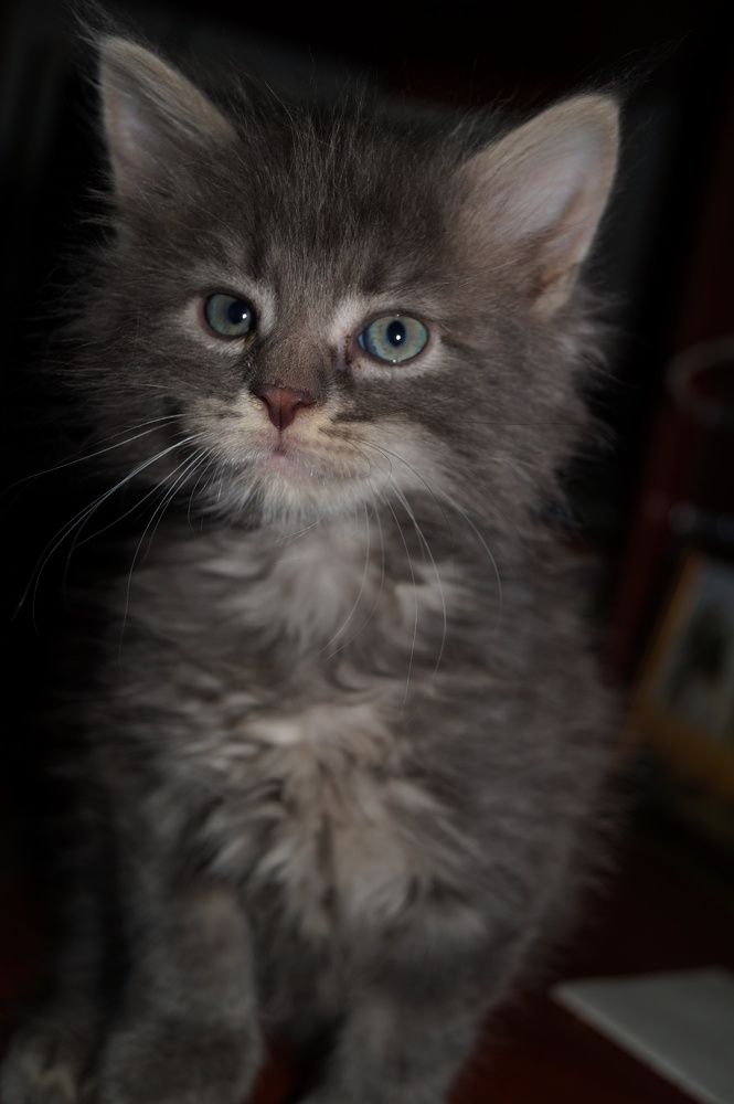 Photograph by Надежда Кнак