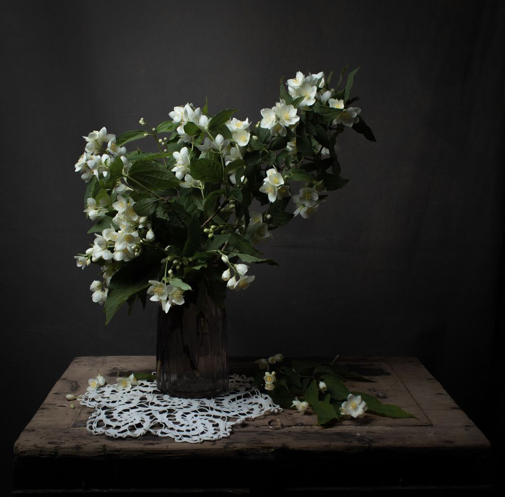 Photograph by Альбина Дылёва