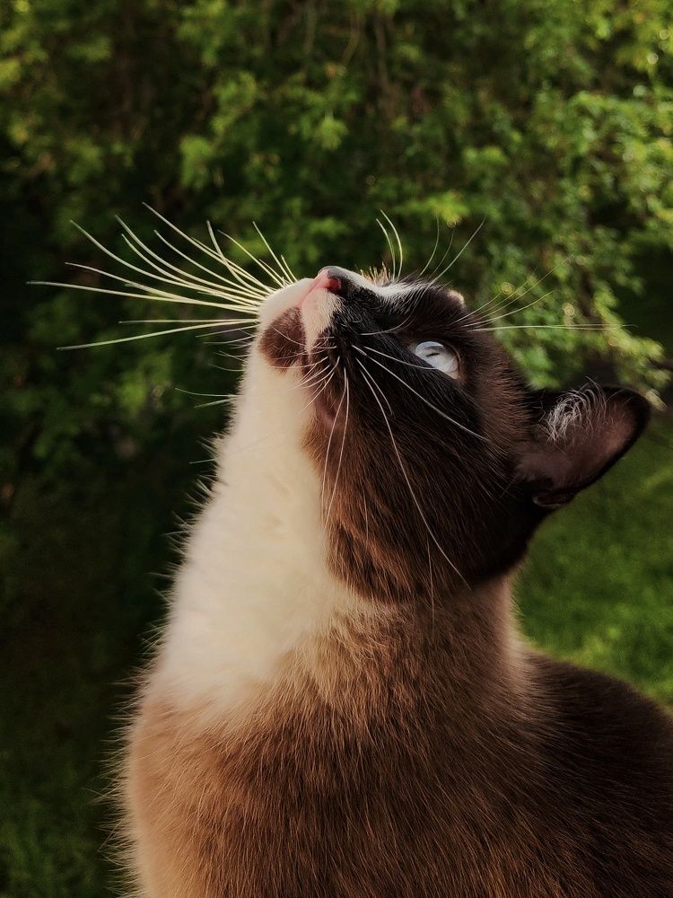 Photograph by Mila Vshivkova