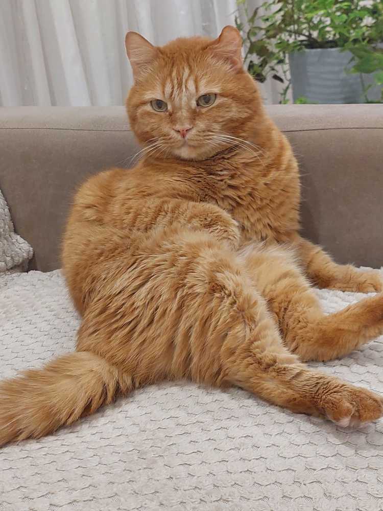 Photograph by Елена Чурынина