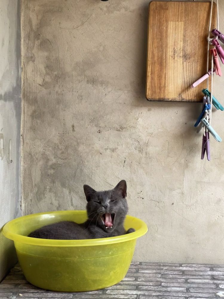 Photograph by Наталья Сережко