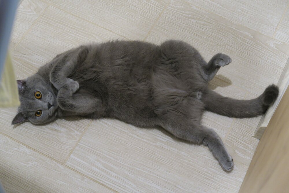 Photograph by Орл Про