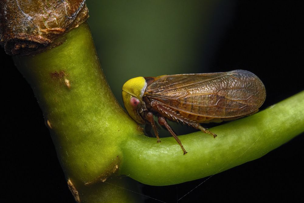 Фотография автора Eimar Kull