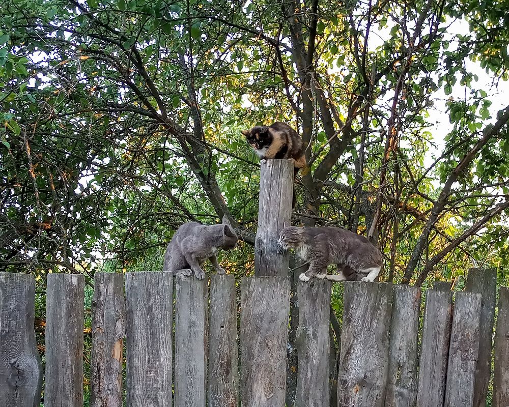 Photograph by Светлана