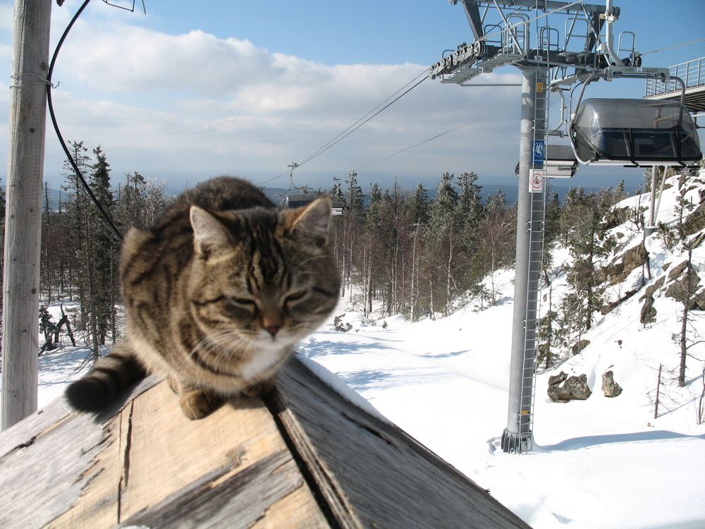 Photograph by Орл Про