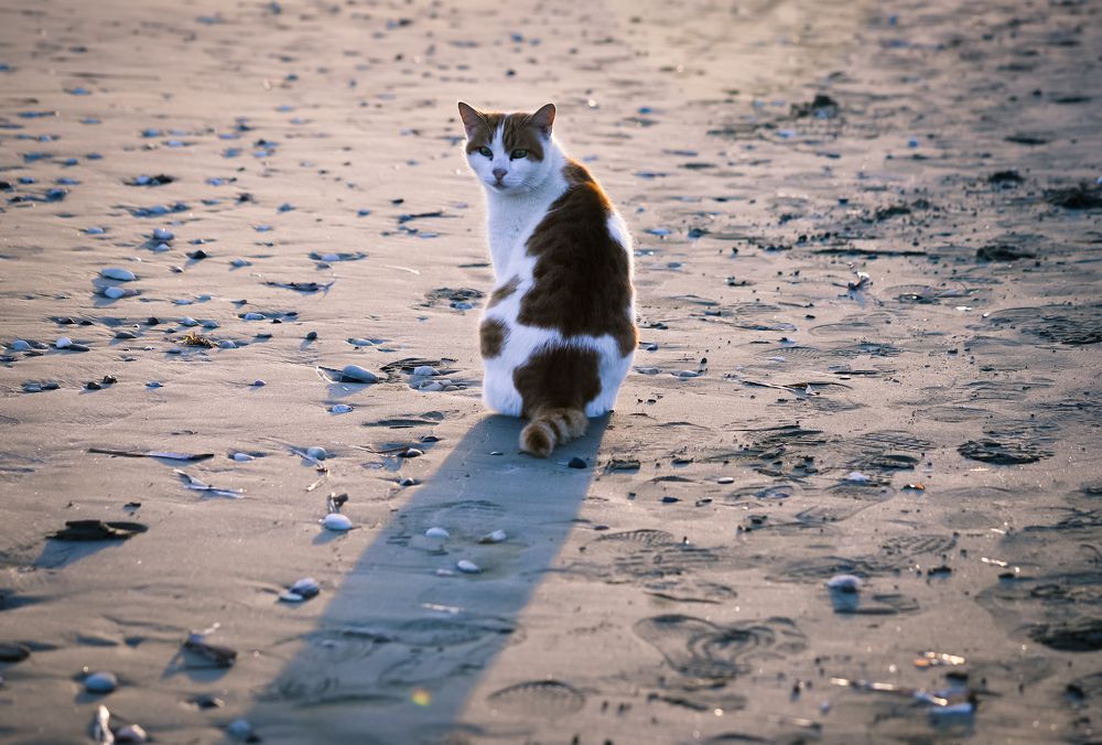 Photograph by Olga Mendosa