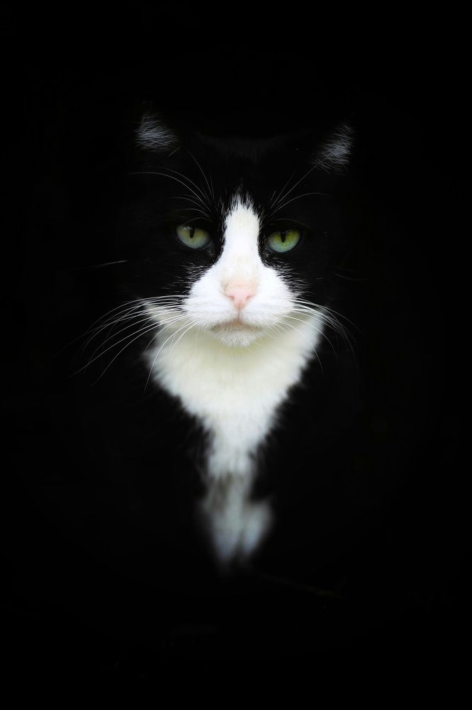 Photograph by Владимир Микрокосмос