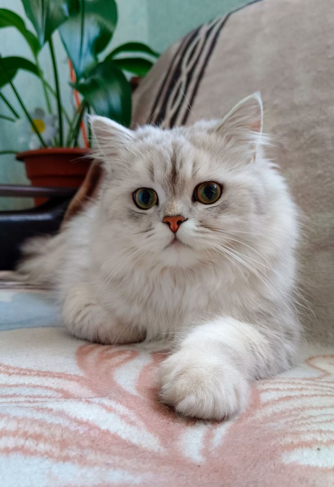 Photograph by Евгения Тимофеева