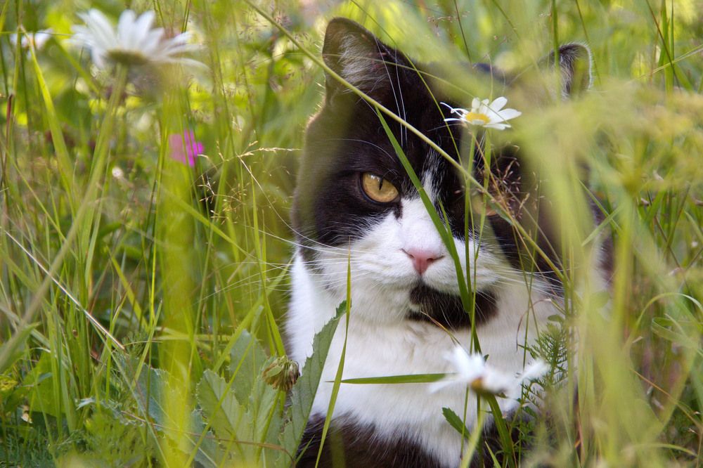 Photograph by Svetlana Dorokhova