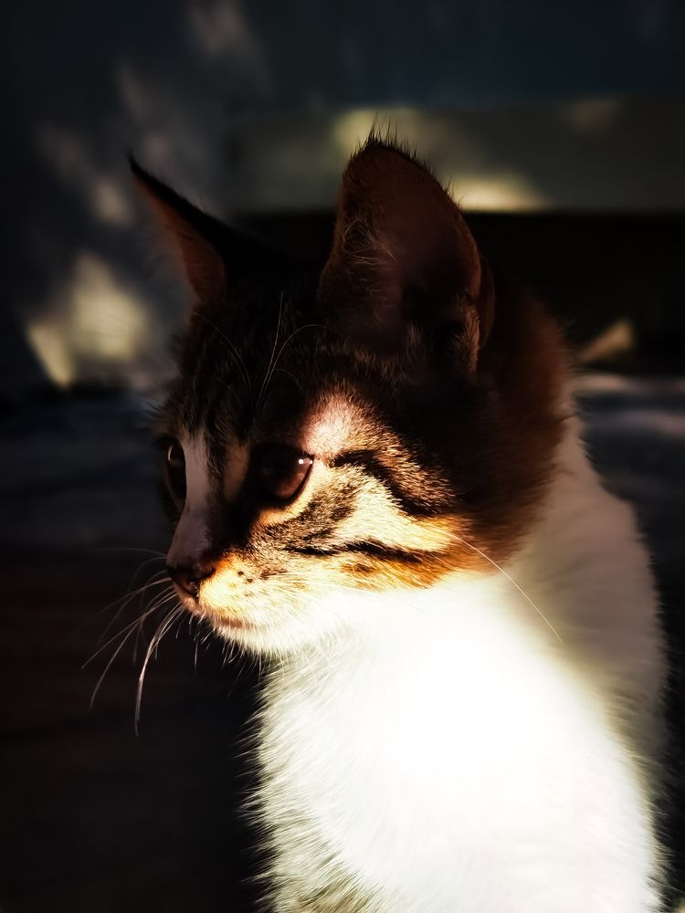 Photograph by Volkan özdemir