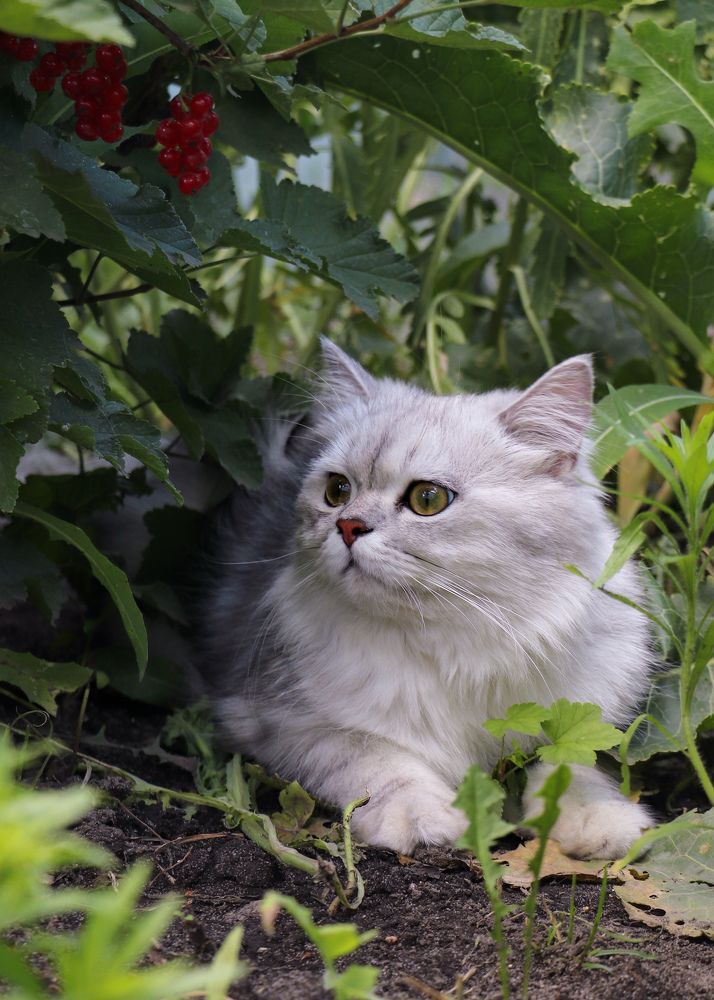 Photograph by Евгения Тимофеева