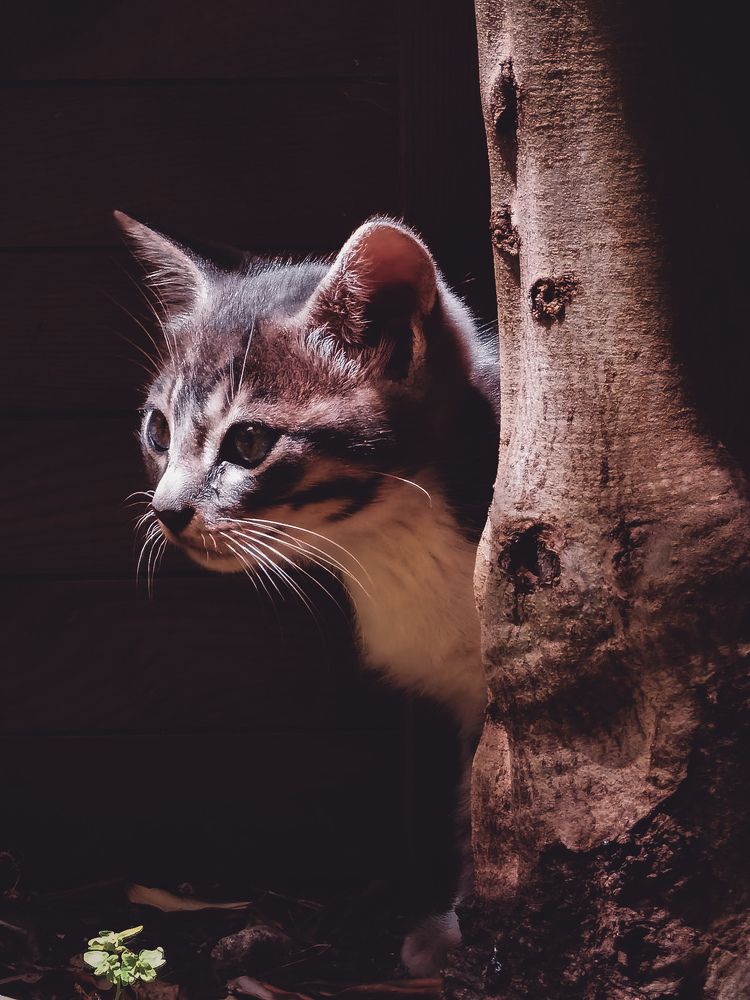 Photograph by Volkan özdemir