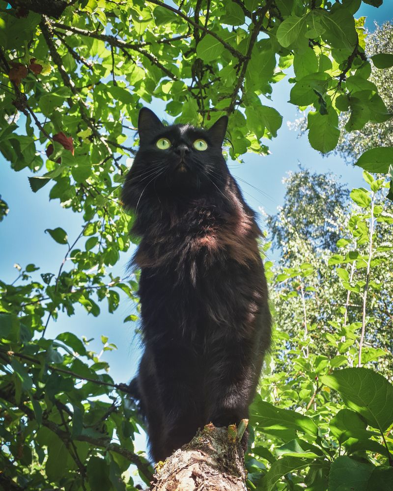 Photograph by Ирина Заворуева