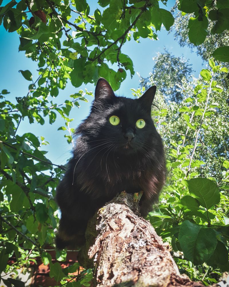 Photograph by Ирина Заворуева