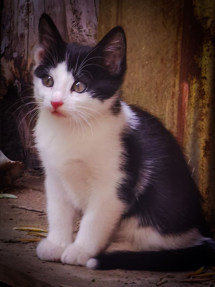 Photograph by Volkan özdemir