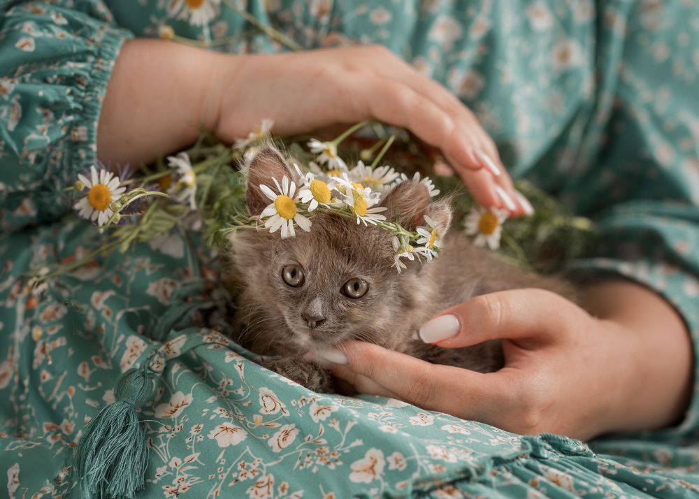 Photograph by Лиана Шалыгина