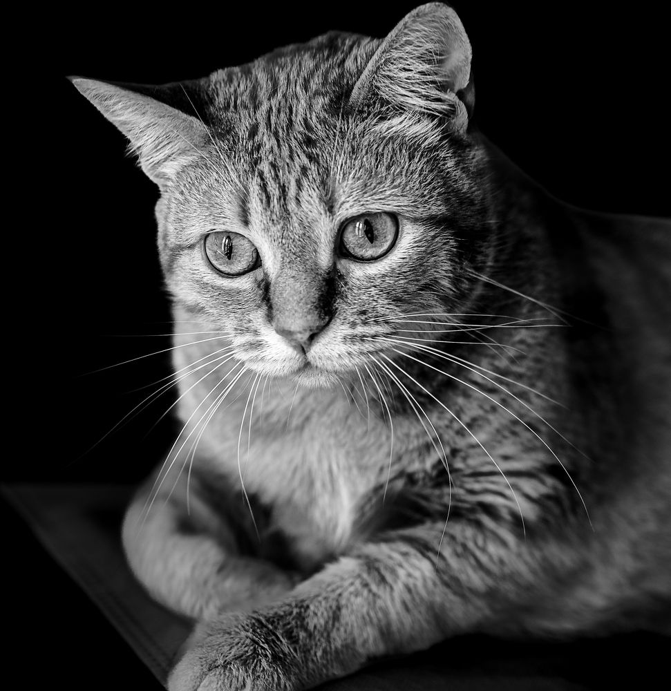 Photograph by Montserrat Alviani