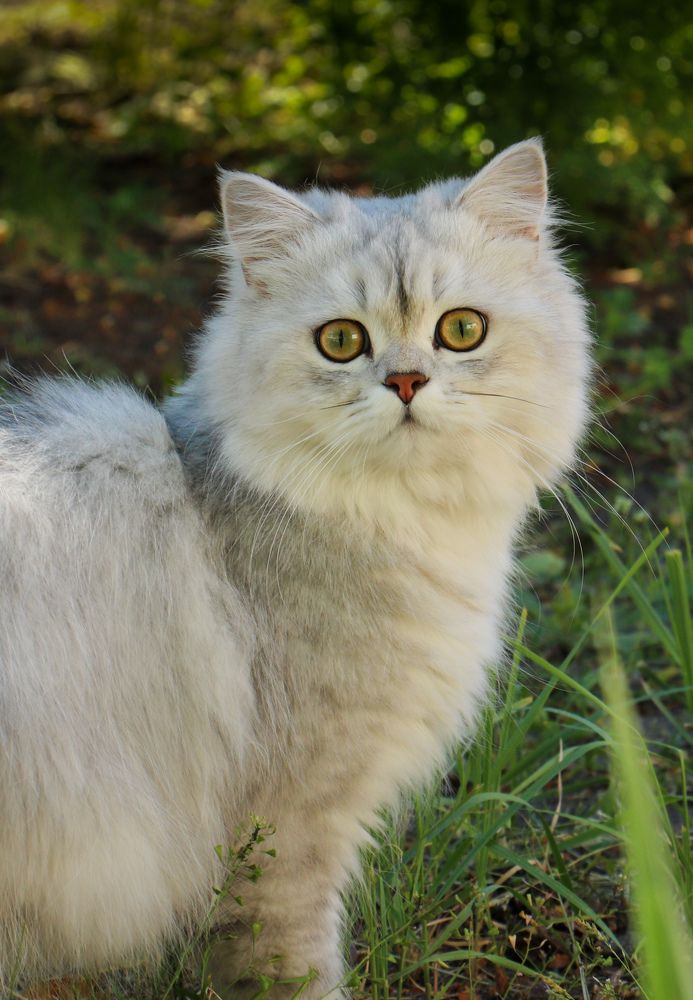 Photograph by Евгения Тимофеева