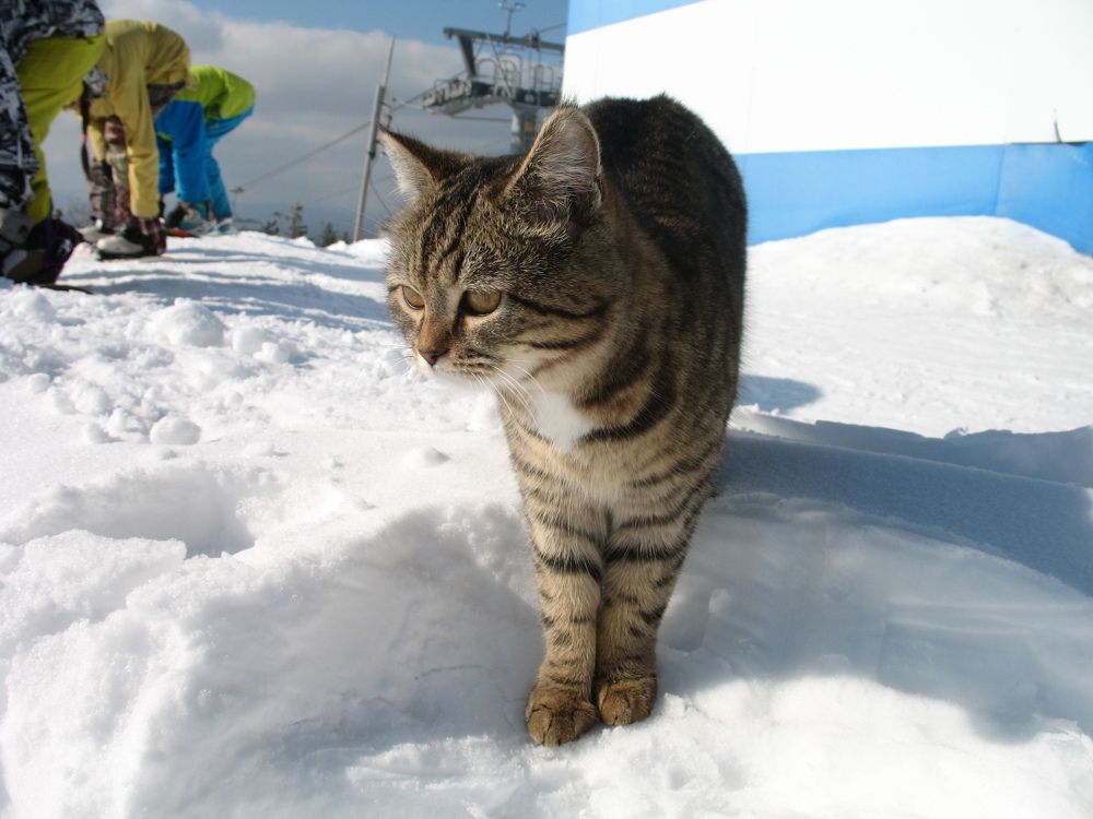 Photograph by Орл Про