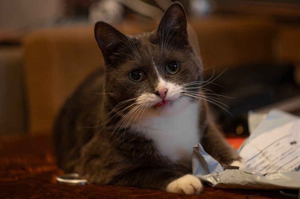 Photograph by Константин Абрамов