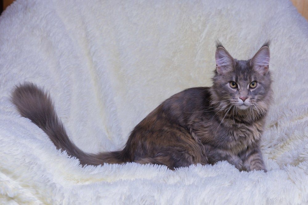 Photograph by Константин Абрамов