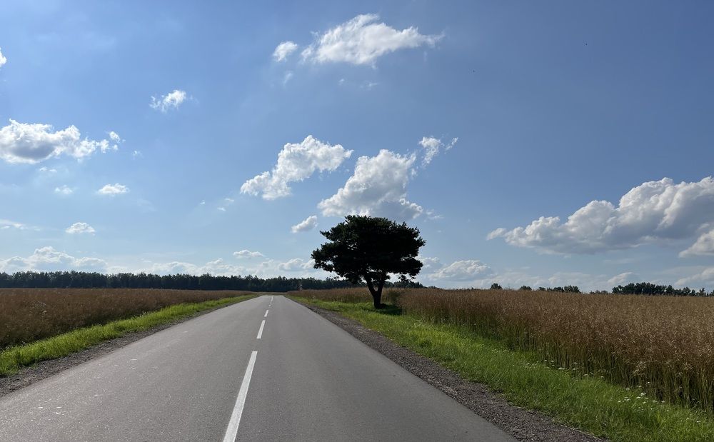 Photograph by Анастасия Стасевич