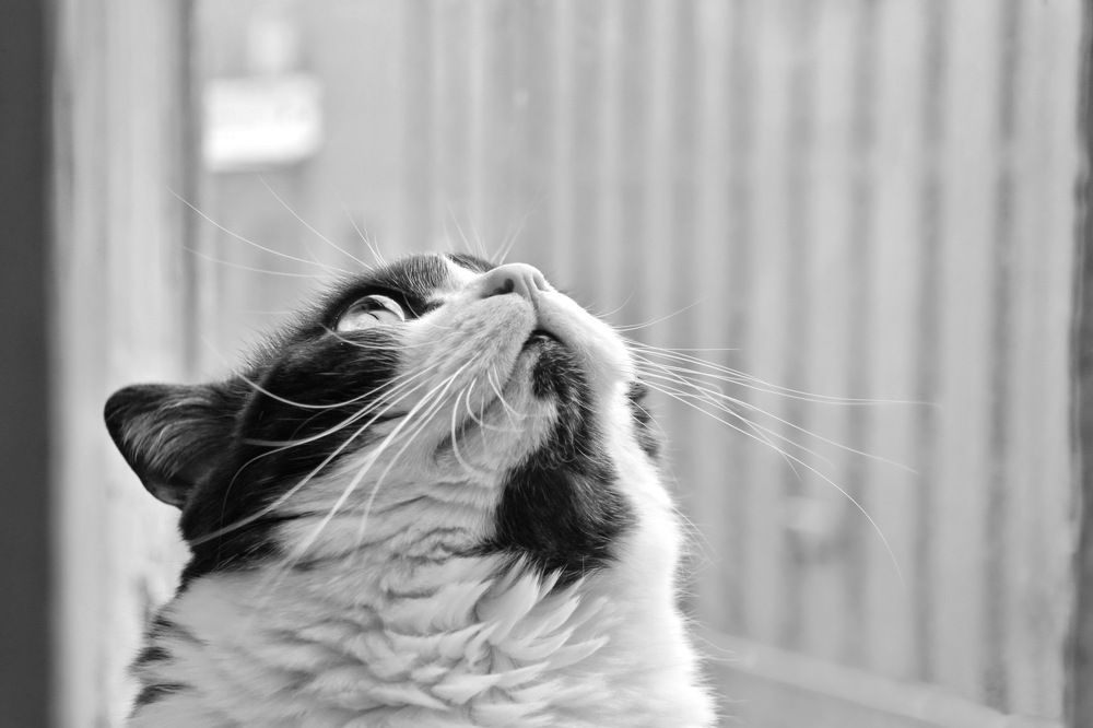 Photograph by Svetlana Dorokhova