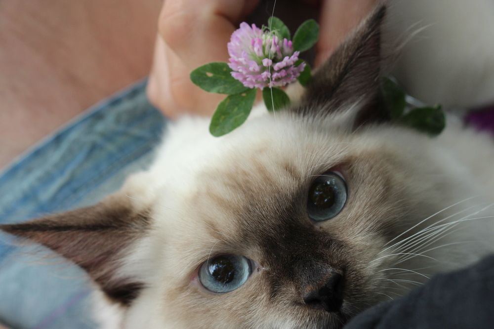 Photograph by Евгений Фисун