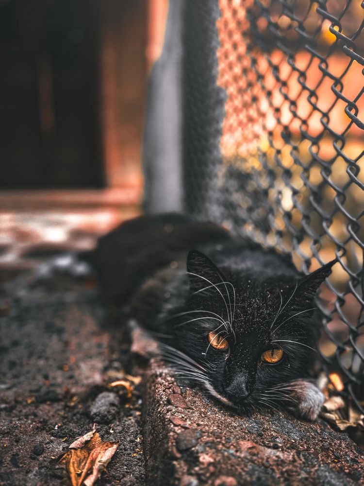 Фотография автора Богдан Михаськів