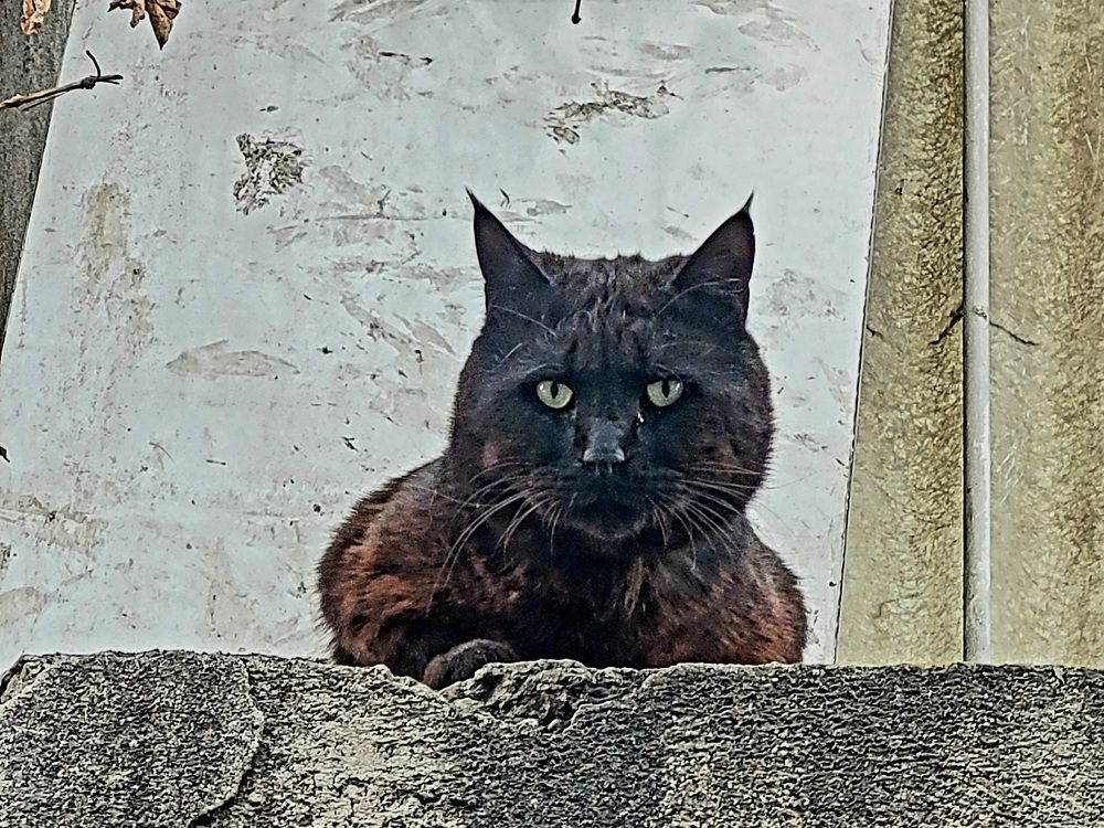 Photograph by Rahele Almassi